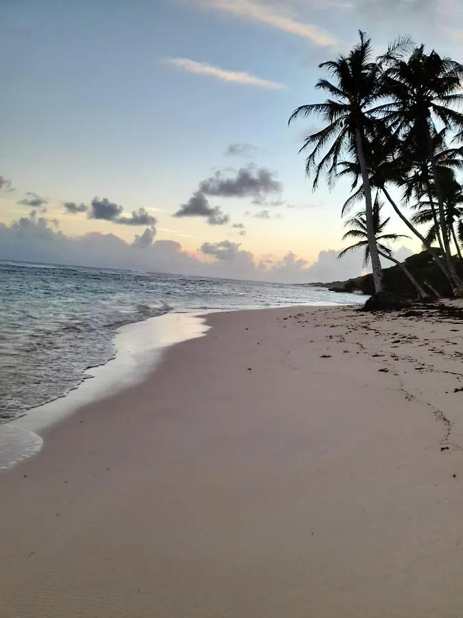 Charmant Studio A Capesterre De Marie Galante Lejlighed Guadeloupe